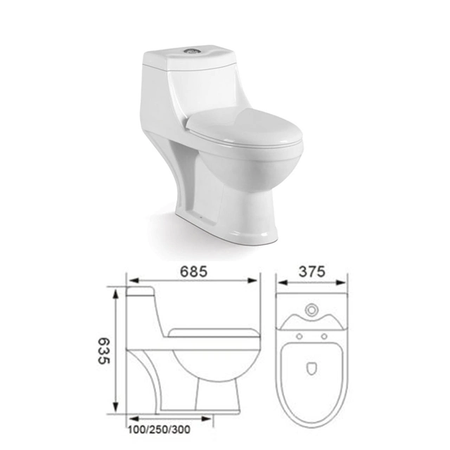 Victory Logo Cheap Price One Piece Ceramic Toilet with Big Outlet Hole